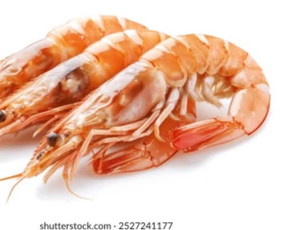大虾 Shrimp